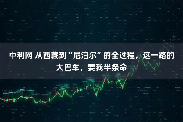 中利网 从西藏到“尼泊尔”的全过程，这一路的大巴车，要我半条命