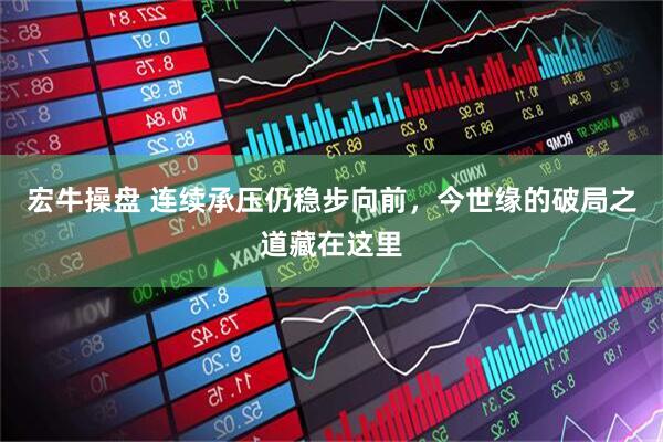 宏牛操盘 连续承压仍稳步向前，今世缘的破局之道藏在这里