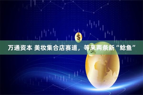 万通资本 美妆集合店赛道，等来两条新“鲶鱼”