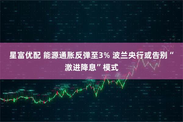 星富优配 能源通胀反弹至3% 波兰央行或告别“激进降息”模式