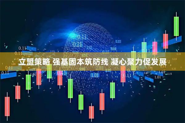 立盟策略 强基固本筑防线 凝心聚力促发展