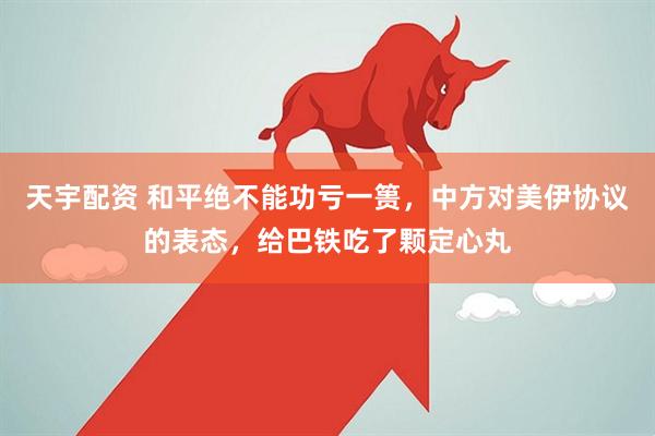 天宇配资 和平绝不能功亏一篑,中方对美伊协议的表态,给巴铁吃了颗定心丸