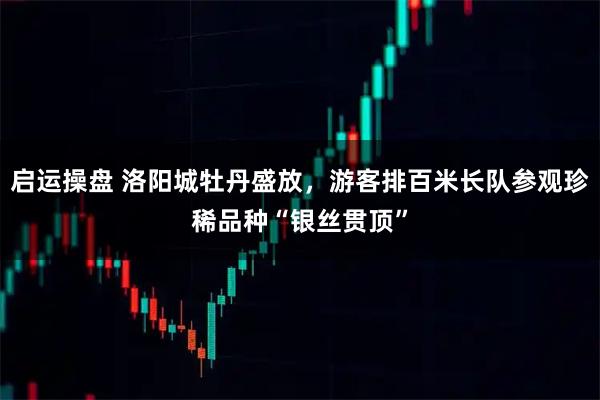 启运操盘 洛阳城牡丹盛放，游客排百米长队参观珍稀品种“银丝贯顶”