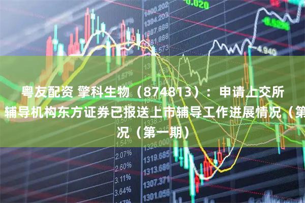 粤友配资 擎科生物（874813）：申请上交所上市，辅导机构东方证券已报送上市辅导工作进展情况（第一期）